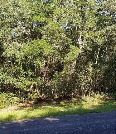 4th image of 10720 N Academy Dr