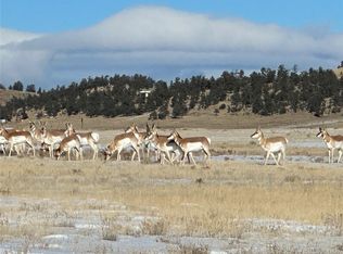 4862 Larimer Rd #17, Hartsel, CO 80449