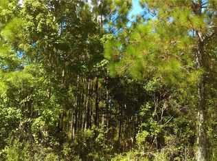 Water Rd, Clermont, FL 34714