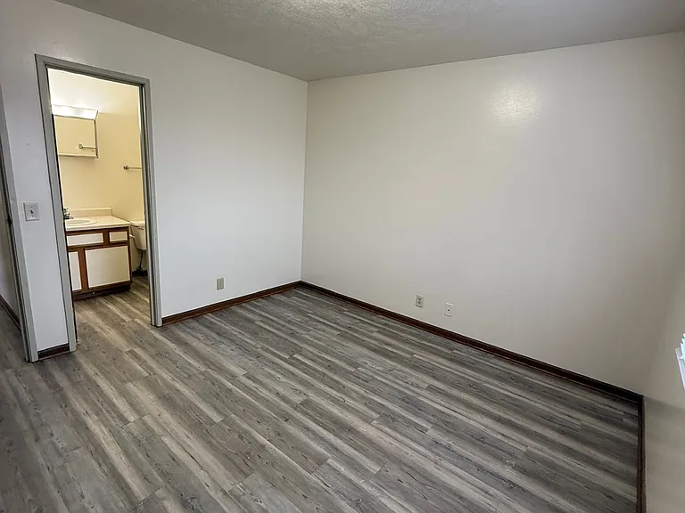 Pine Tree Apartments — Photo 15