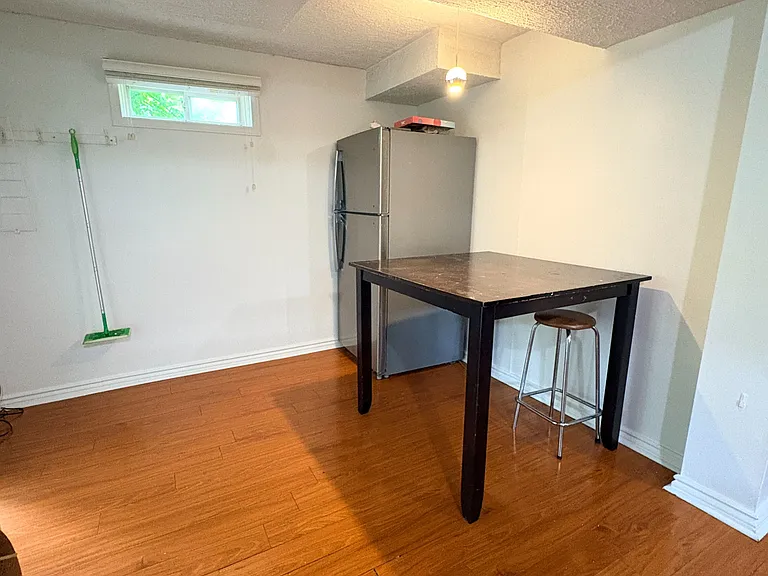 114 Sheldrake Ct #BASEMENT — Photo 9