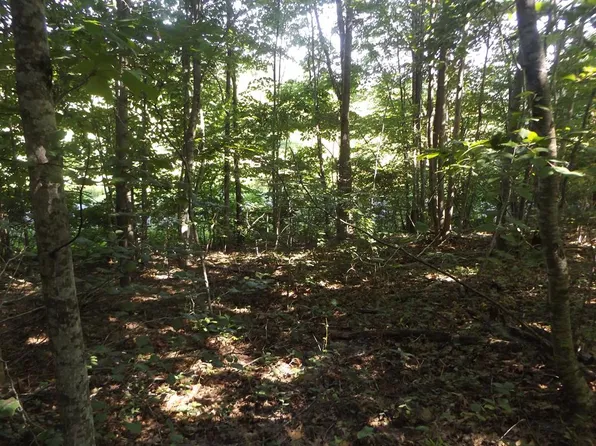 Tbd Raindrop Rd, Fancy Gap, VA 24328