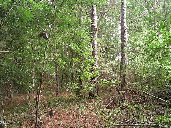 4th image of Will Glenn Rd