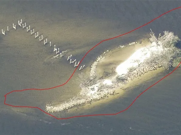 Little Shell Is, Fort Myers, FL 33905