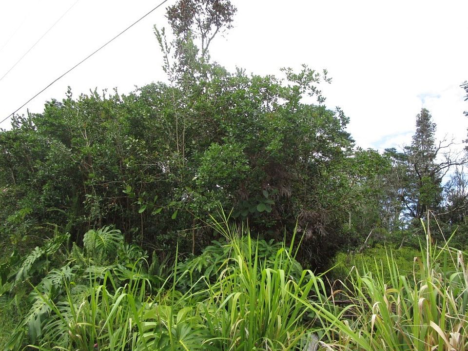 2nd image of 14th Avenue Laamia