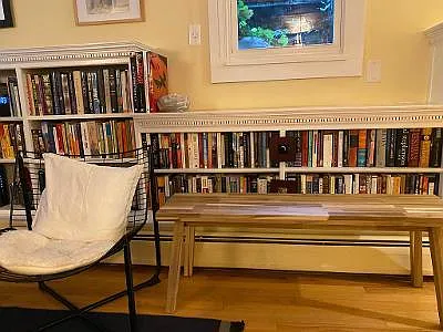 1 bed, 500 sqft, $1,500 — Photo 4
