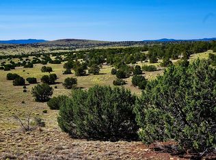 Deer Cir #178, Quemado, NM 87829