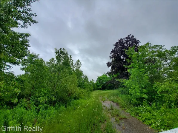 4125 Flint Rd, Brighton, MI 48114
