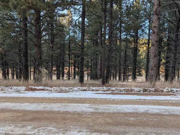 LOT 1315 Valle Grande Trl S, Angel Fire, NM 87710