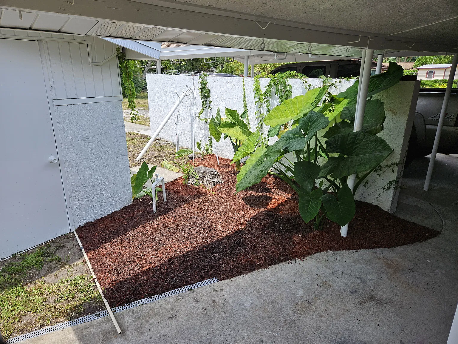 1 bed, 350 sqft, $1,500 — Photo 1