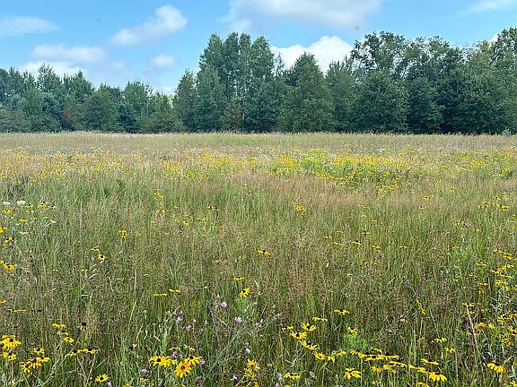 3rd image of 1550 Kindig Rd S