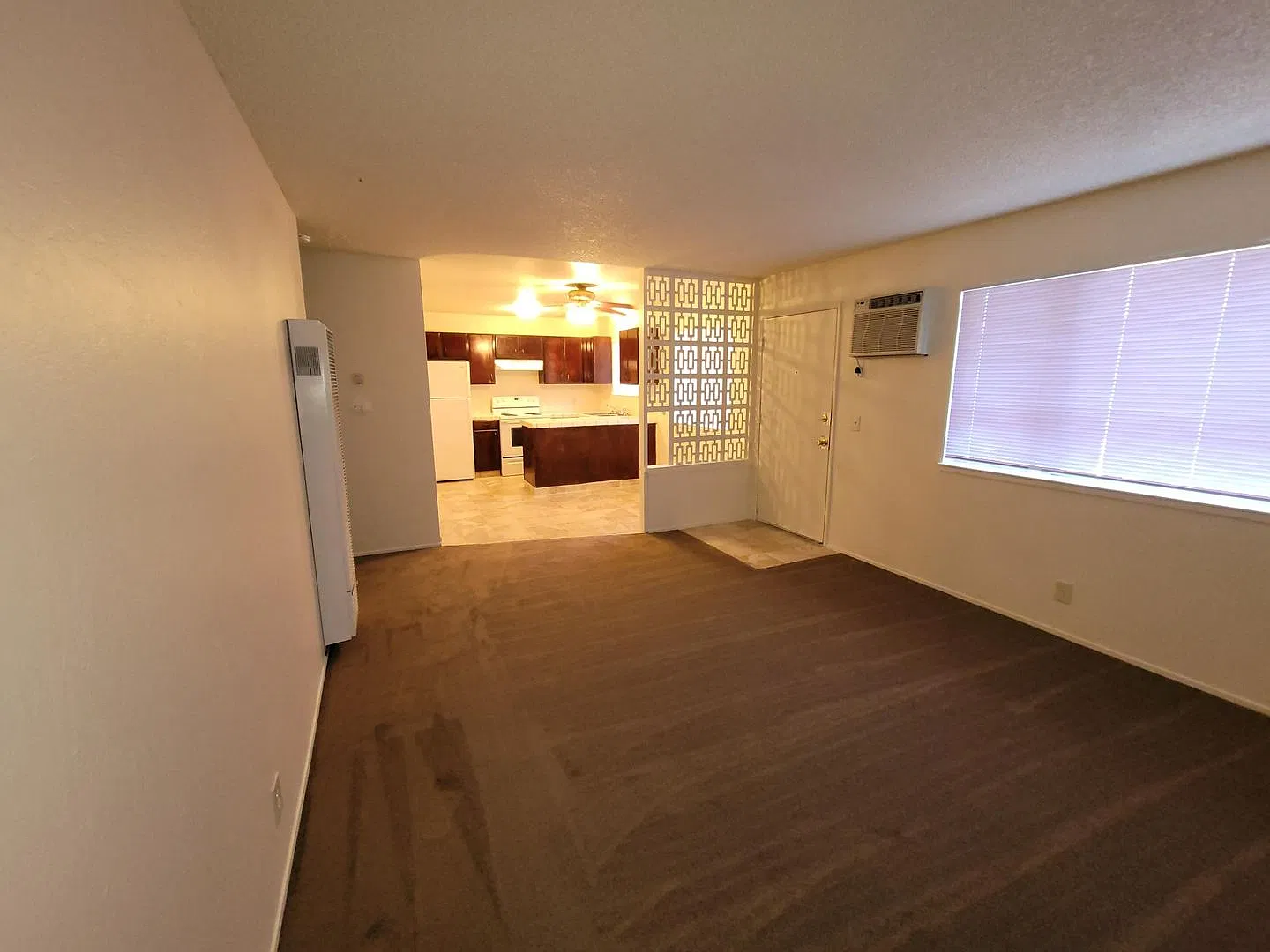 BS116 - WhiteFront — Photo 2