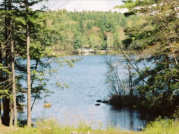 118 Kemp Rd, Croydon, NH 03773