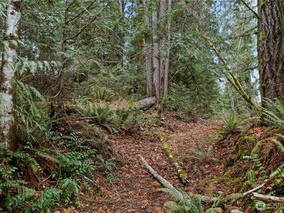 0 N Olympic Trails Drive, Lilliwaup, WA, 98555