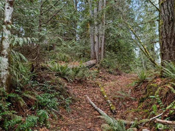 0 N Olympic Trails Drive, Lilliwaup, WA 98555