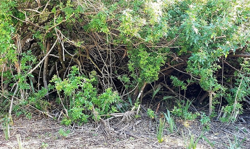 1st image of 18295 Kerrville Cir