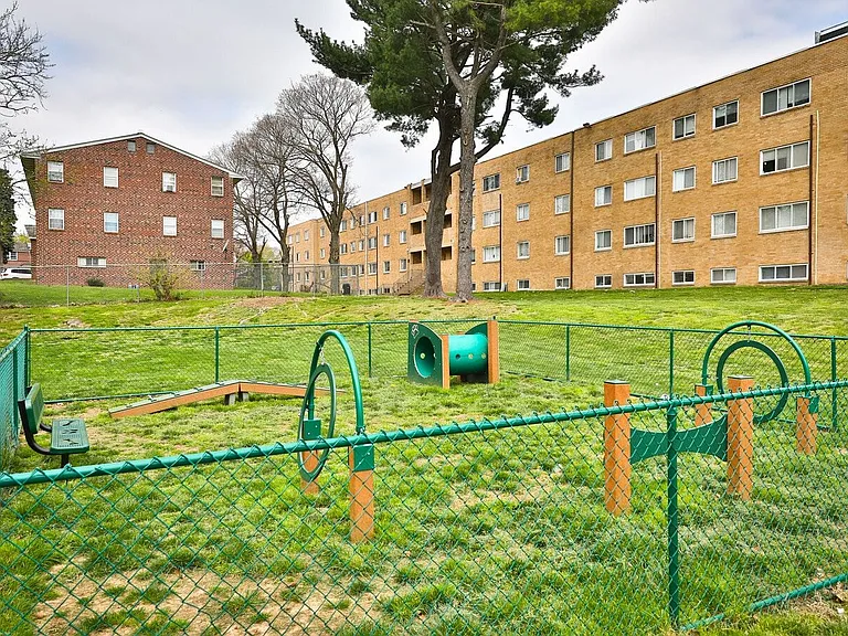 Dog Park