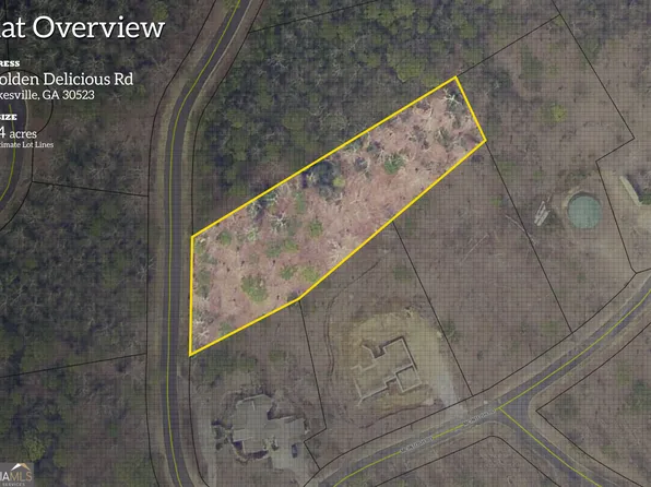 0 Golden Delicious Rd, Clarkesville, GA 30523