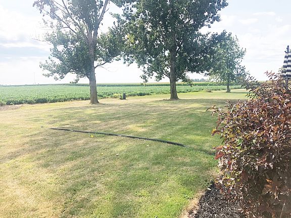 A glimpse of the backyard 