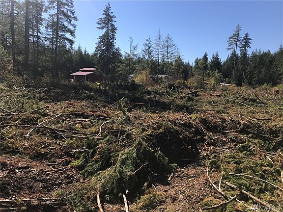 5th image of 1370 W Satsop Maple Gln
