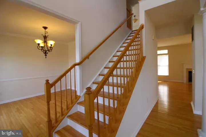14201 Reidhall Pl — Photo 15