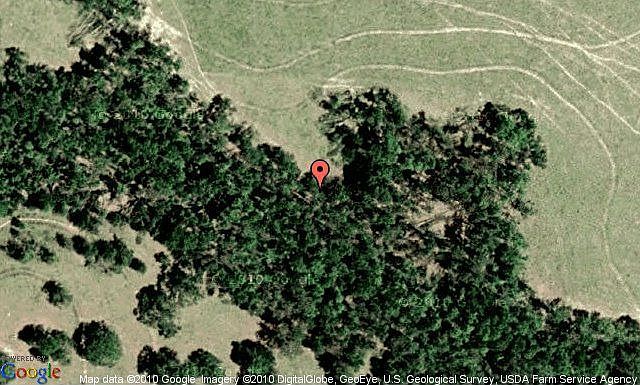 Map View