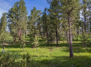 25042 Ruby Rd, Custer, SD 57730