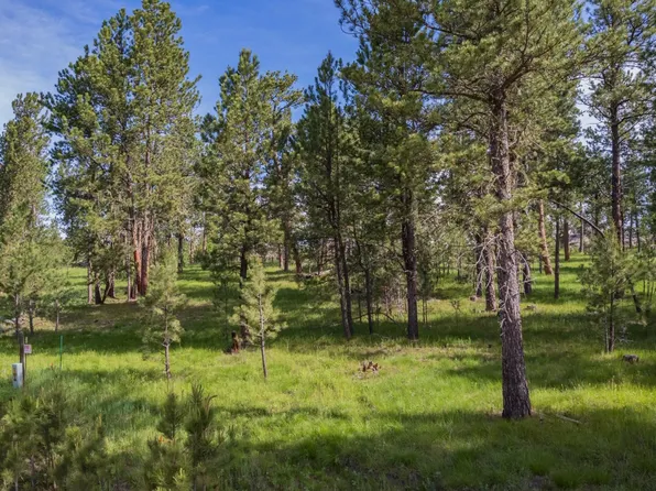 25042 Ruby Rd, Custer, SD 57730