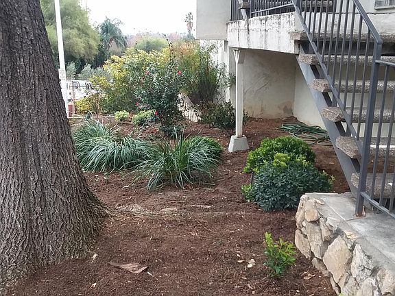 2nd image of 1699 Amberwood Dr APT 112