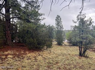 1907 Pine Top Dr, Overgaard, AZ 85933