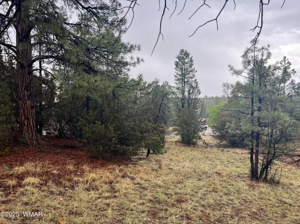 1907 Pine Top Dr, Overgaard, AZ 85933
