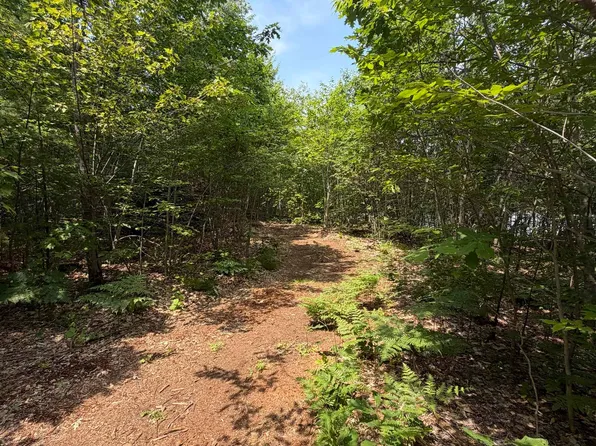 Map 206 Lot 28 Whittier Road, Tamworth, NH 03890
