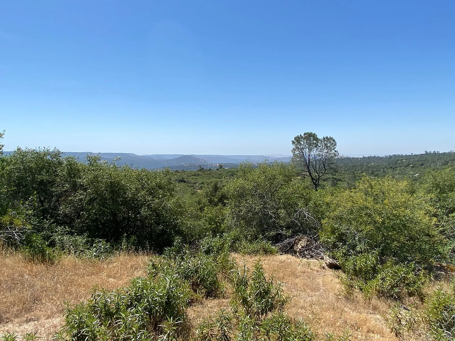 0 Flying O Ranch Rd photo 1