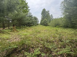 6336 Cedar Trce, Stanwood, MI