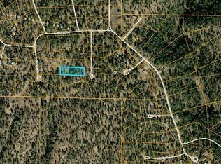 107 Ivan's Ct, Pagosa Springs, CO 81147