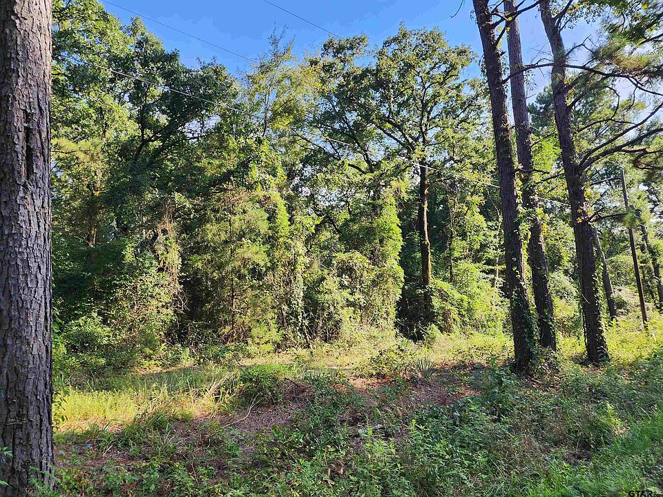 2nd image of County Road 384 Old Longview Rd