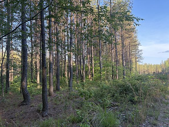 5th image of 0 Black Bear Ln Lot 68