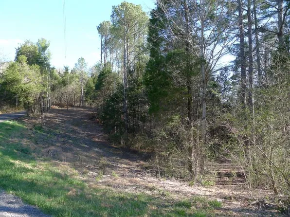1841 Bootbluff Trl, Dandridge, TN 37725