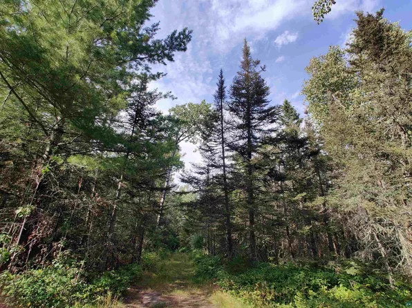 XXX Gauthier Rd, Hovland, MN 55606