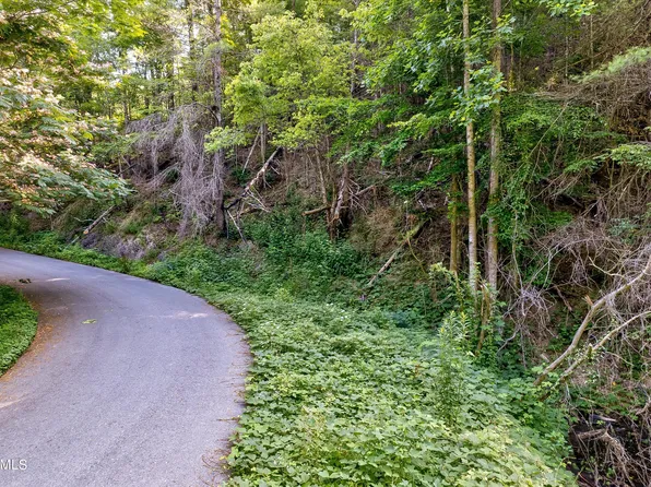LOT 7 Willow Ln, Sevierville, TN 37862