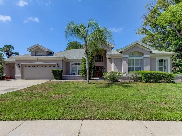 6505 Grazing Ln, Odessa, FL 33556