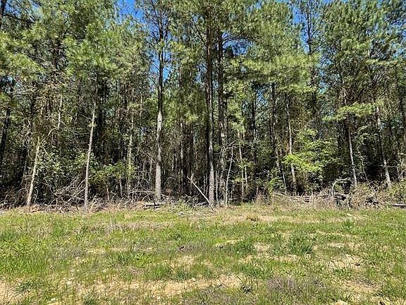 5th image of 399 Camp Ranch Rd #91