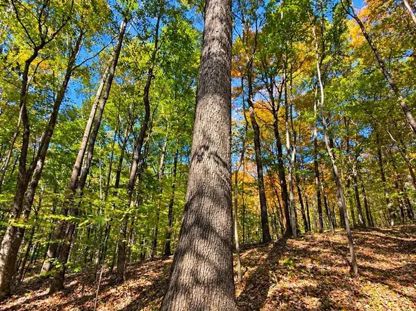 0 Dunbar Leetown Rd, Morgantown, KY 42261