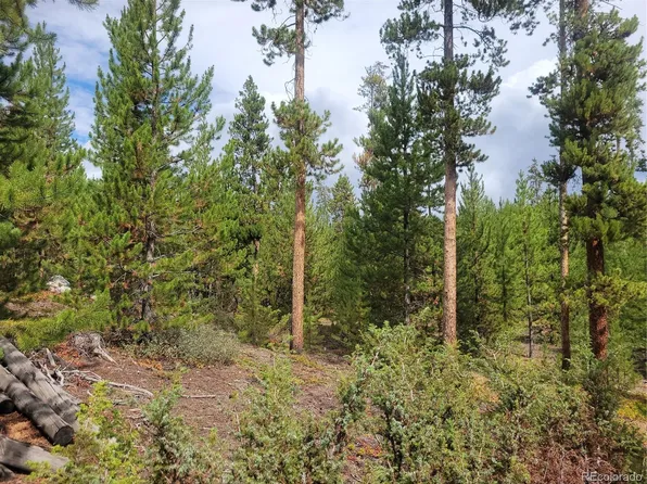 65 Grand County Road 6621, Grand Lake, CO 80447