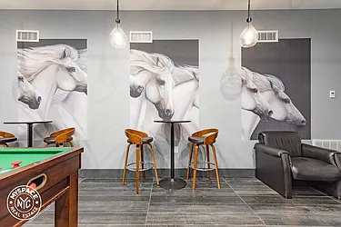 Rented by MySpaceNYC