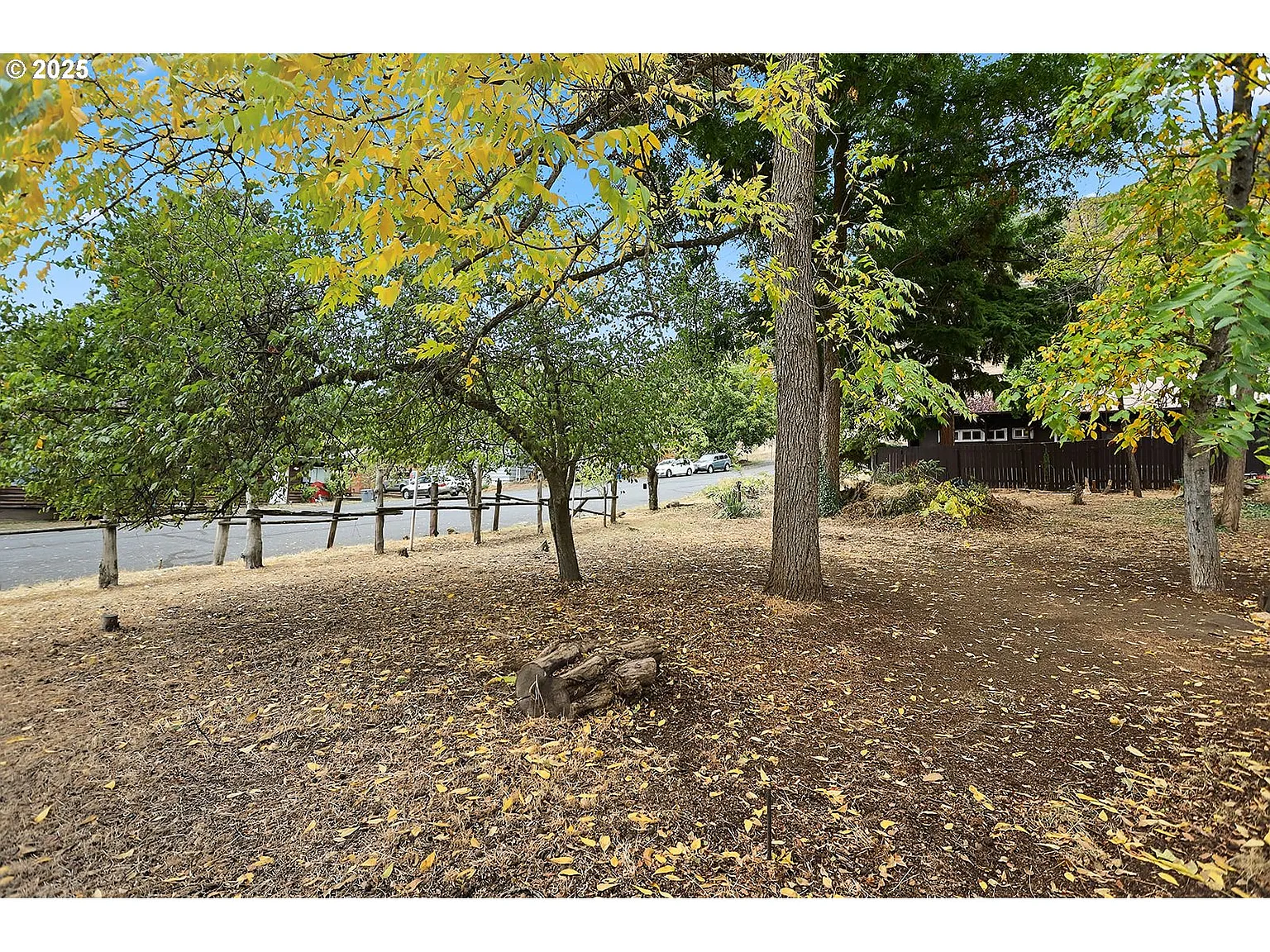 E Franklin St photo 1