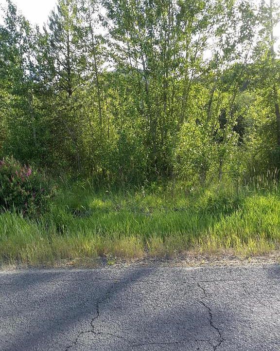 2nd image of 254 Shepherd Rd