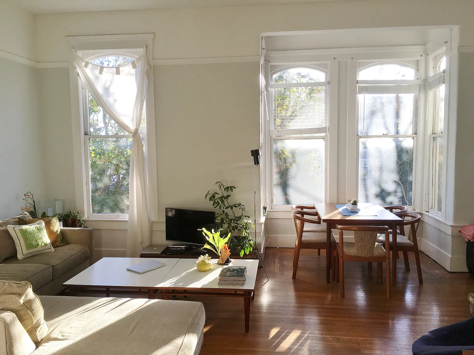 1 bed, 550 sqft, $3,295 — Photo 2