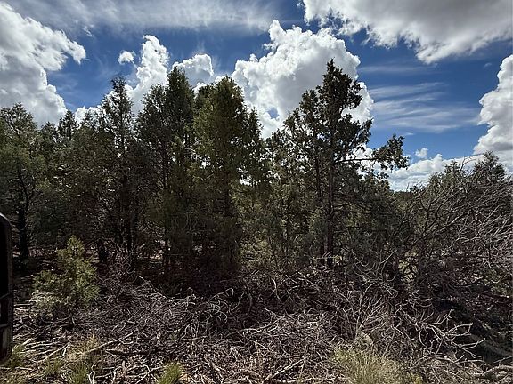 4th image of LOT 180 181 #223