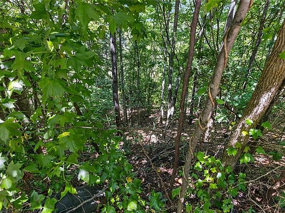 5th image of 1179 Wood Trace Lane